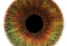 Culoarea ochilor